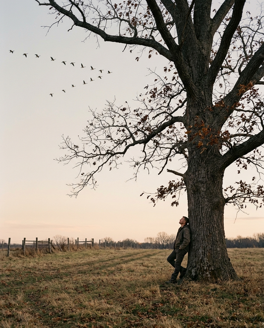  Man in a dark jacket leaning against a large oak at dusk, one boot propped on the trunk, looking up toward a loose V of geese crossing a pale sky — why trees stay by Trees and Leaves