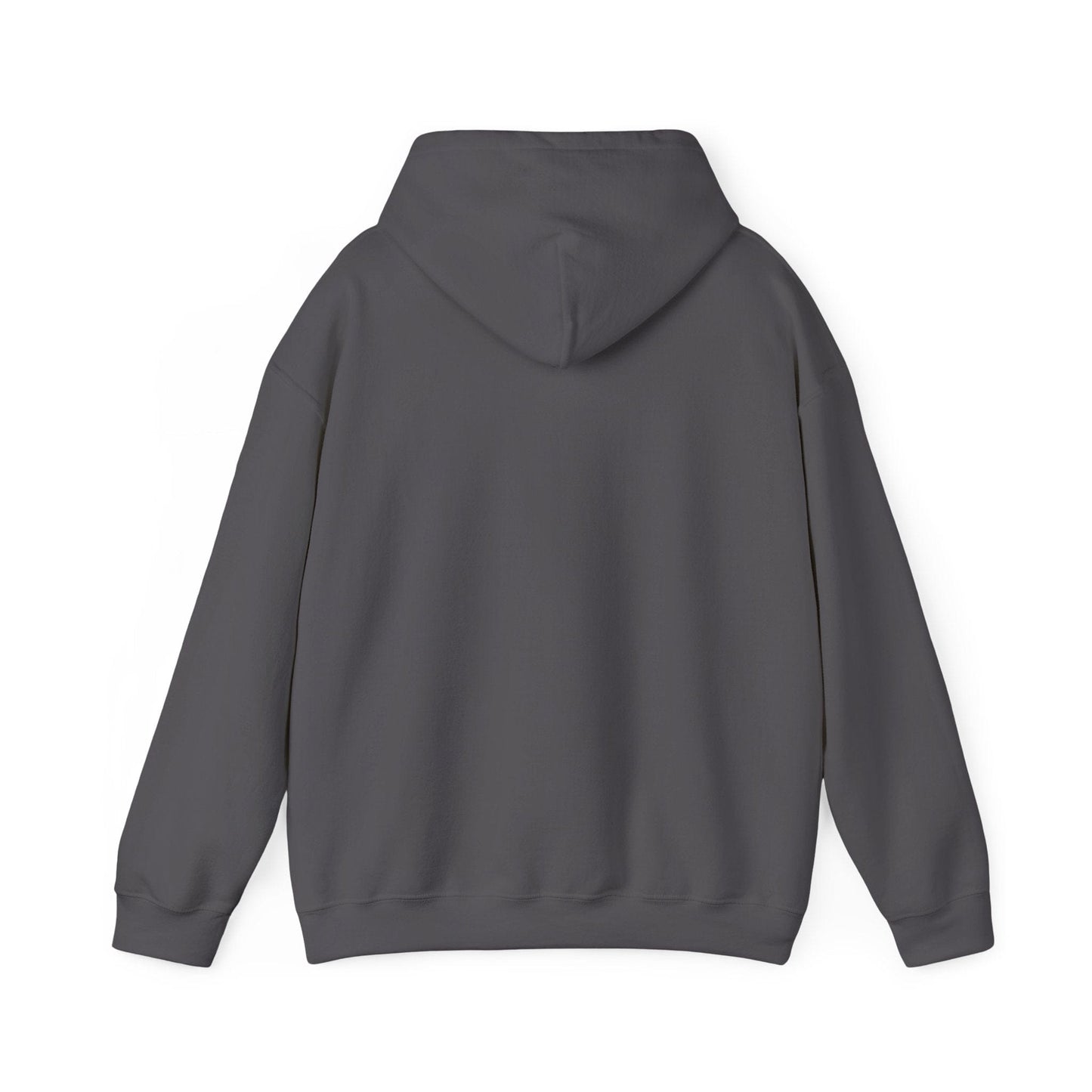 Charcoal | Small front logo Hoodie, back design view
