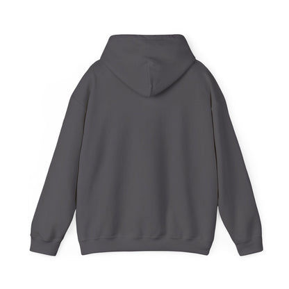 Charcoal | Small front logo Hoodie, back design view