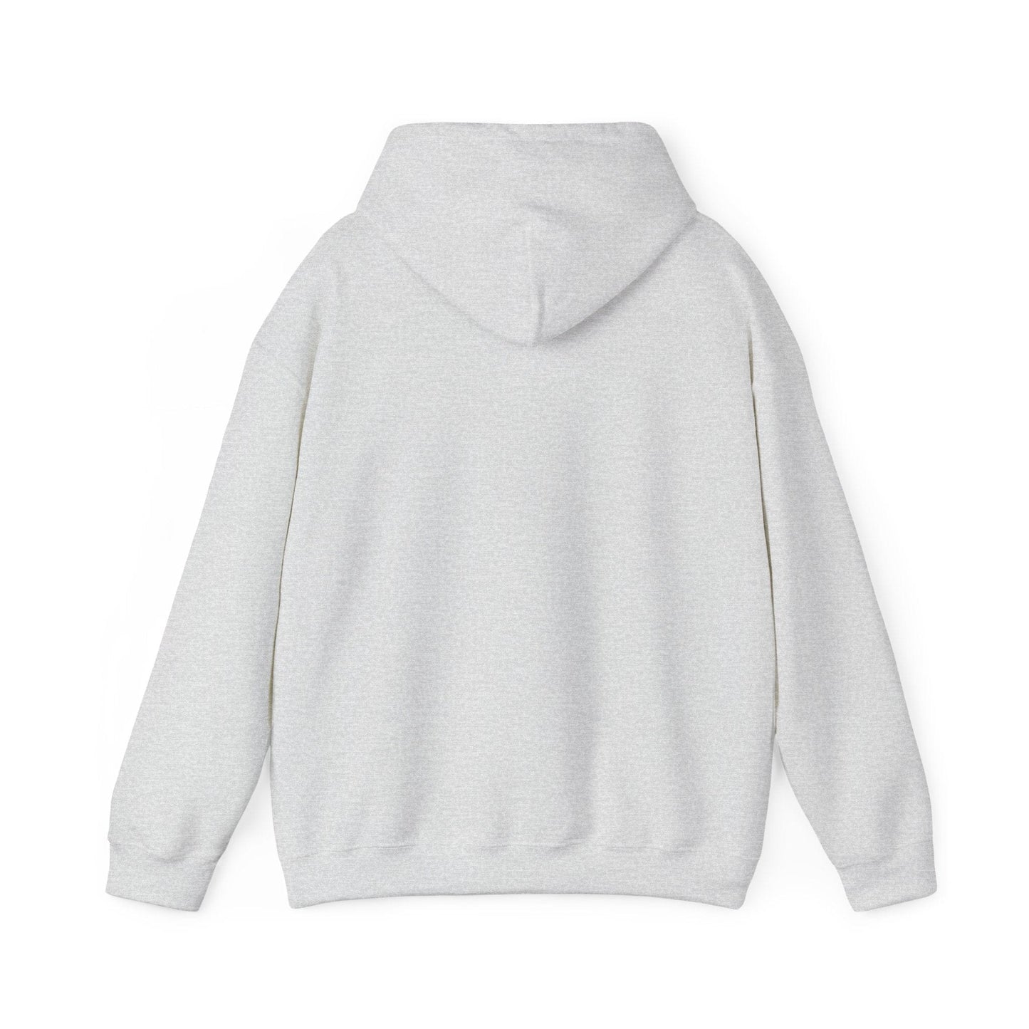 Ash | Small front logo Hoodie, back design view
