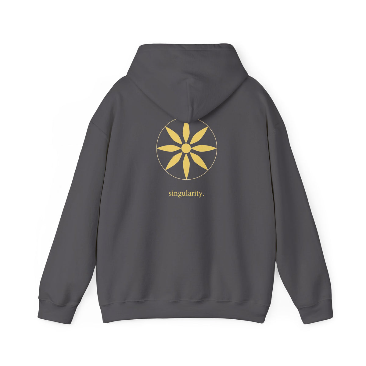 Charcoal | Singularity Hoodie, back design view