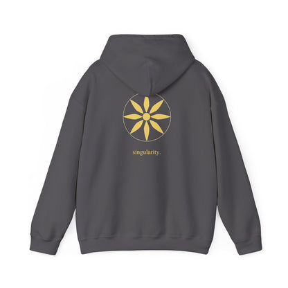 Charcoal | Singularity Hoodie, back design view