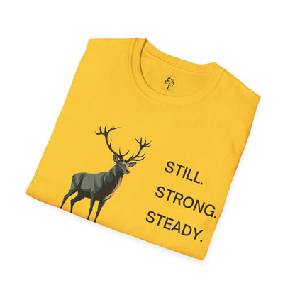 Daisy | Still, Strong, Steady, folded view