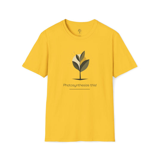 Photosynthesize This