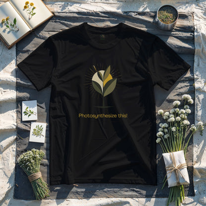 Photosynthesize This