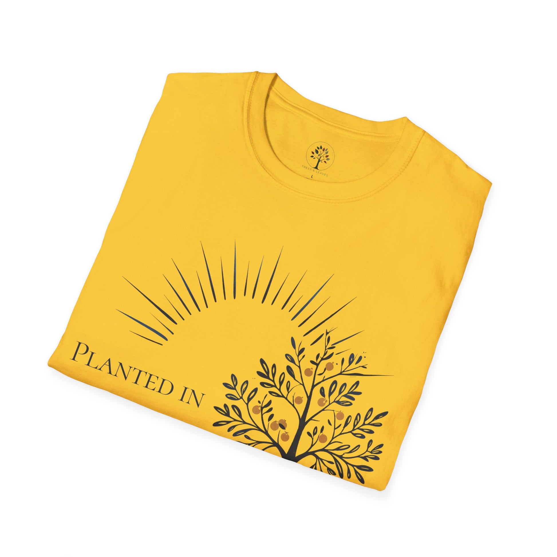Daisy | Planted in Love, folded view