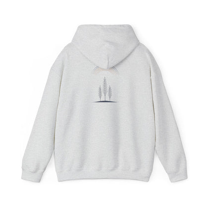 Ash | Quiet Arc Hoodie, back design view